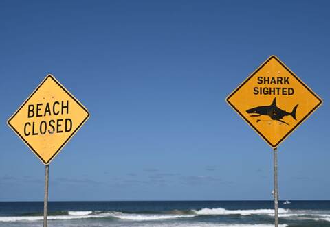 Tödlicher Hai-Angriff vor australischer Ostküste