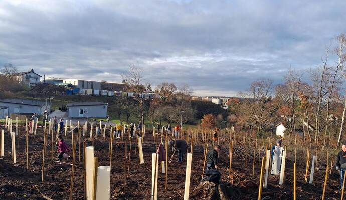 Junge Elsbeeren und Eichen haben 40 Kinder, Eltern und Großeltern in Gräfenhausen bei den Tennisplätzen gepflanzt. An den Stämmchen hinterließen sie selbst geschriebene Botschaften wie „Mit Liebe gepflanzt“.