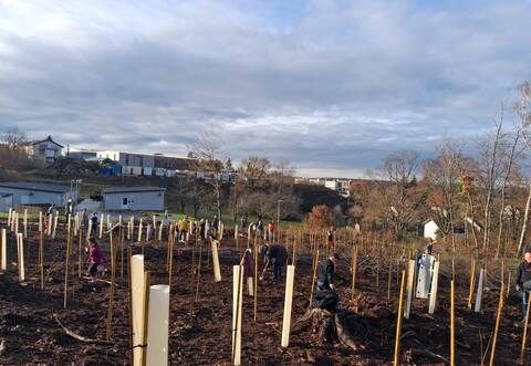 Junge Elsbeeren und Eichen haben 40 Kinder, Eltern und Großeltern in Gräfenhausen bei den Tennisplätzen gepflanzt. An den Stämmchen hinterließen sie selbst geschriebene Botschaften wie „Mit Liebe gepflanzt“.