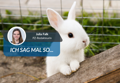 Auf Instagram wirkt das Familienleben der Influencerin harmonisch. Doch hinter den Kulissen scheint die Realität eine andere.