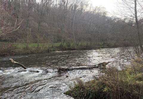 In diesem Bereich der Enz auf Höhe des Enzstegs ist das Wasser speziell in den Sommermonaten meist nicht tief genug.