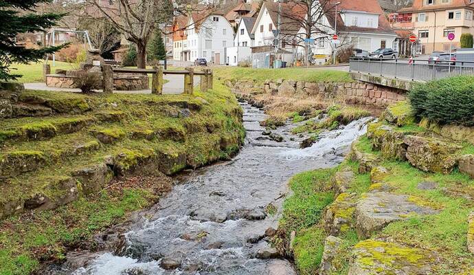 Der Reichenbach in Unterreichenbach.