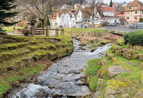 Der Reichenbach in Unterreichenbach.