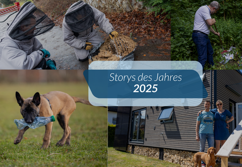 Tierisch, kurios und einfach nur spannend: Die Storys des Jahres 2025 auf PZ-news.