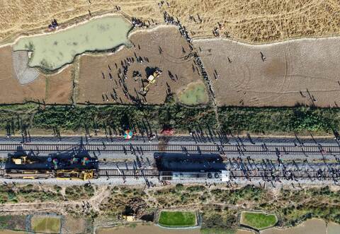 Elefanten sterben in Indien bei Kollision mit Zug