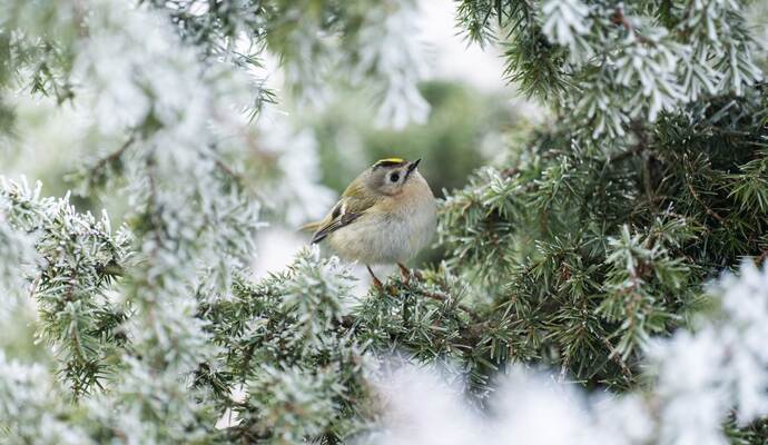 Wetter in Baden-Württemberg