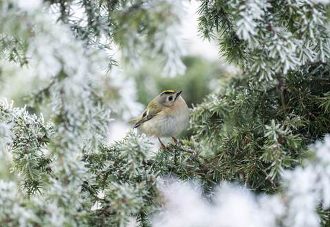 Wetter in Baden-Württemberg