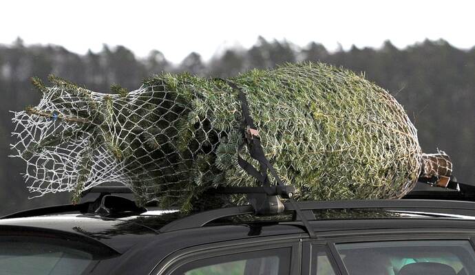Christbaum auf einem Auto