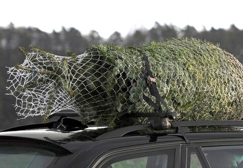 Christbaum auf einem Auto