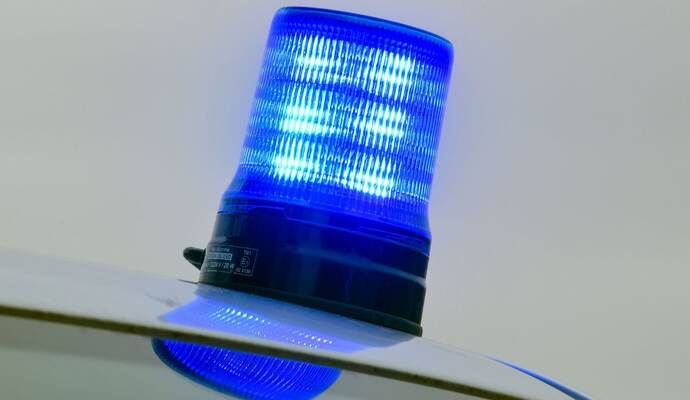 Toter Hund im Wald gefunden