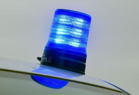 Toter Hund im Wald gefunden