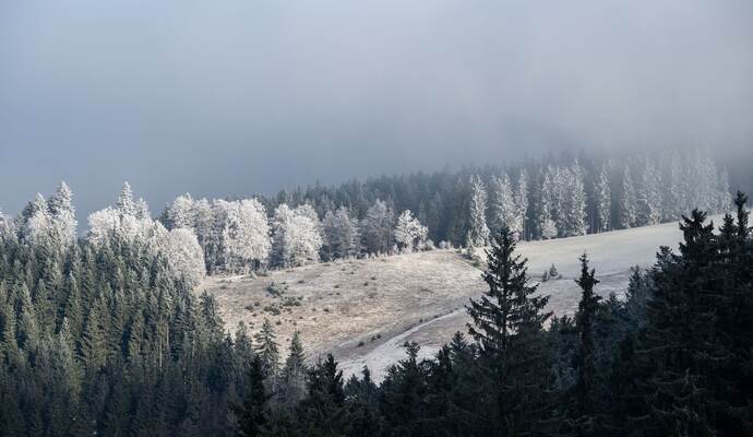 Wetter in Baden-Württemberg