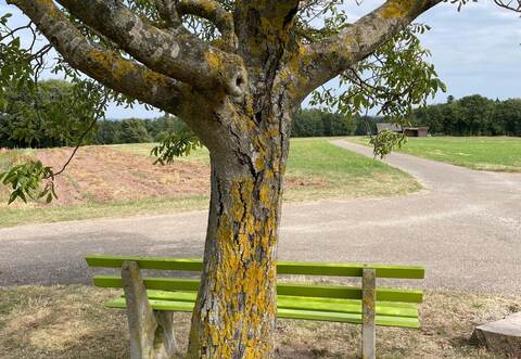 Sitzbänke in der Nähe von Bäumen – wie hier in Bieselsberg – oder gar im Wald haben es noch schwer. Dort ist die Gefahr herabfallender Äste oder umstürzender Bäume gegeben.