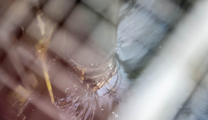 ausgelaufener Diesel Kupferhammer