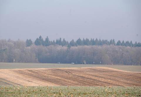 Rechts und links der Bundesstraße nach Bretten plant ein privater Investor einen Windpark mit fünf Anlagen.