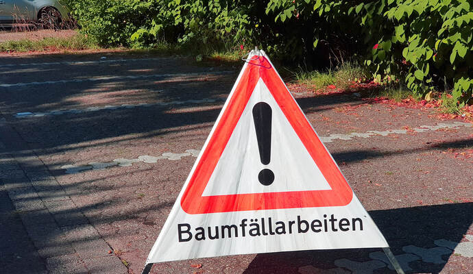 Baumfällarbeiten finden zwischen Gräfenahusen und Keltern statt.