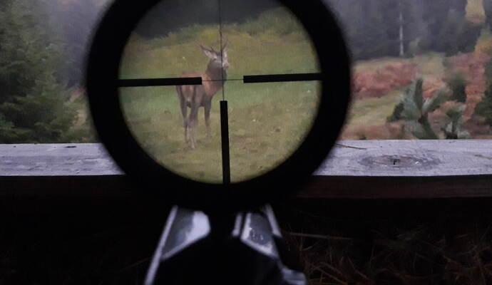 Wegen einer umstrittenen Jagd bei Sprollenhaus ermittelt nun die Polizei.