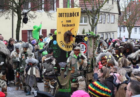 Neun Masken- und Zunftgruppen sind unter dem Dach des Carnevalvereins orgnisisert – darunter auch die Zottelböck.
