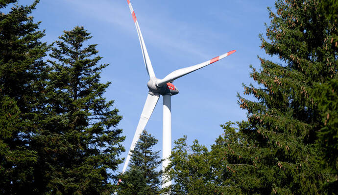 Pilotprojekt zur Begrünung von Windenergiestandorten