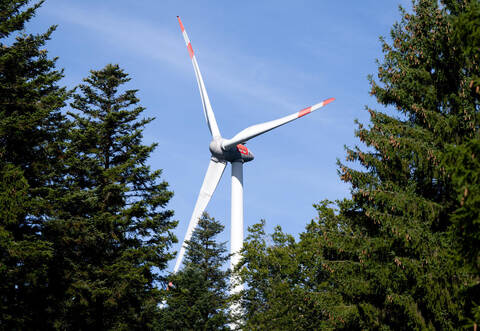 Pilotprojekt zur Begrünung von Windenergiestandorten