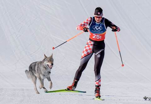 Olympische Winterspiele 2026