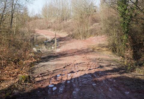 Fotos wie dieses legen nahe, dass es im Großen Wald bei Königsbach in jüngerer Zeit Erdbewegungen gegeben hat. Nicht alle sind damit einverstanden. Roller