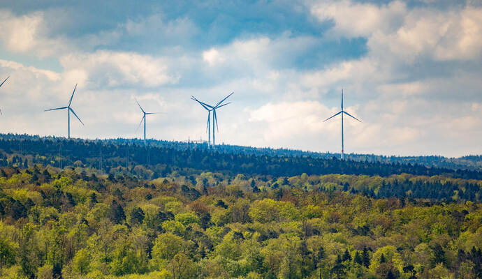 Unter anderem für den Straubenhardter Windpark waren Ausgleichszahlungen fällig, die jetzt in Naturschutzprojekte investiert werden.