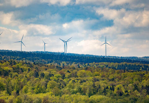 Unter anderem für den Straubenhardter Windpark waren Ausgleichszahlungen fällig, die jetzt in Naturschutzprojekte investiert werden.