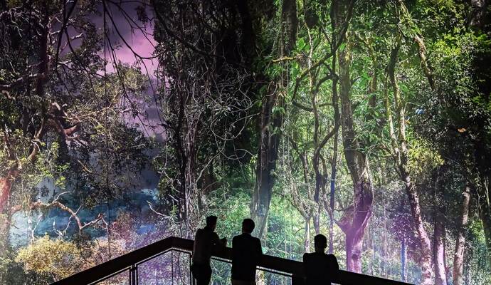 360-Grad-Panorama Amazonien