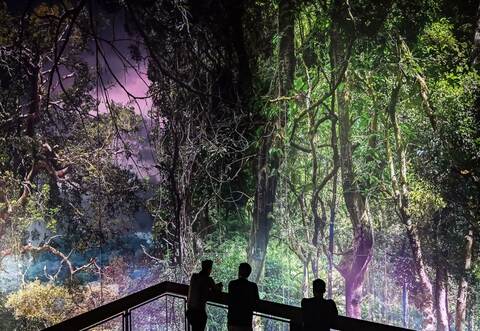 360-Grad-Panorama Amazonien