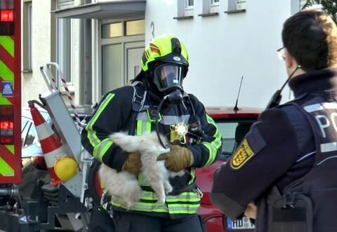 Feuerwehr rettet Katze aus verrauchter Wohnung