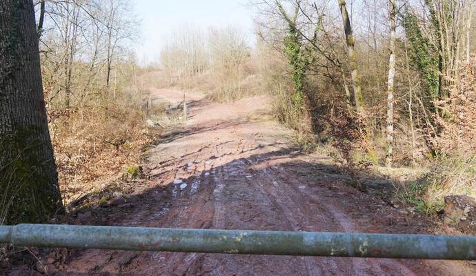 Dieses Foto ist vor rund vier Wochen im Großen Wals bei Königsbach entstanden. Damals sahen die Erdmengen im Wald noch ziemlich massiv und fehlplatziert aus. Inzwischen ist der optische Eindruck deutlich besser.