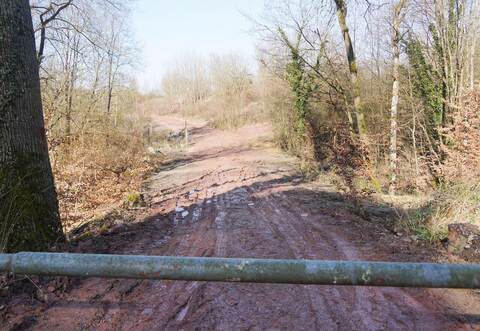 Dieses Foto ist vor rund vier Wochen im Großen Wals bei Königsbach entstanden. Damals sahen die Erdmengen im Wald noch ziemlich massiv und fehlplatziert aus. Inzwischen ist der optische Eindruck deutlich besser.