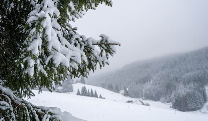 Wetter in Baden-Württemberg