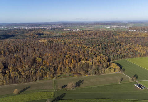 Im Gemeindewald in Neulingen sollen in Zukunft fünf Windkraftanlagen errichtet werden.