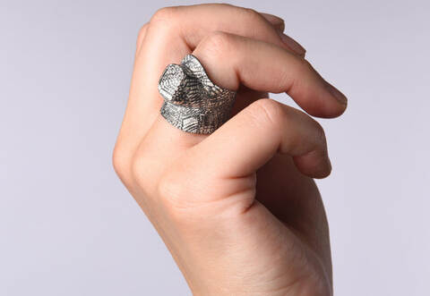 Der prämierte Ring.