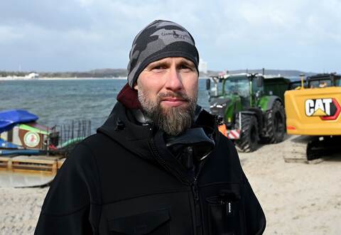 Wal an der Ostseeküste gestrandet