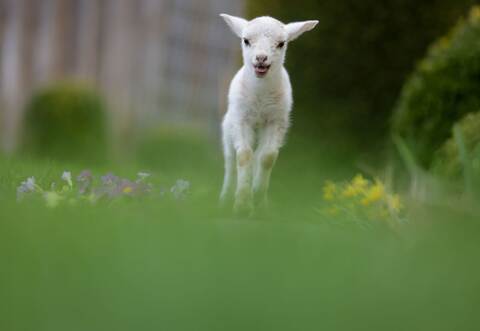 Wetter in Baden-Württemberg