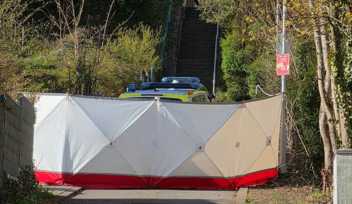 Mann stirbt nach Polizeischüssen bei Verfolgungsfahrt