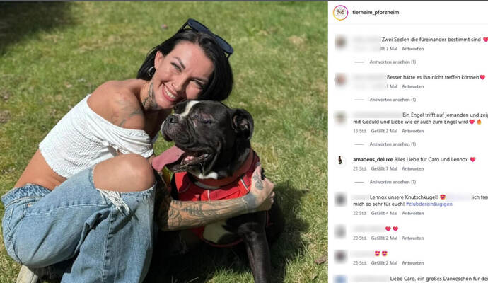 Zweite Chance für ein „Happy End“: Hunde mit einer Vergangenheit wie der von Lennox zu vermitteln, ist schwer. Doch das Pforzheimer Tierheim scheint ein passendes Frauchen für die Bulldogge gefunden zu haben.
