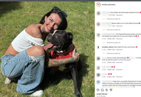 Zweite Chance für ein „Happy End“: Hunde mit einer Vergangenheit wie der von Lennox zu vermitteln, ist schwer. Doch das Pforzheimer Tierheim scheint ein passendes Frauchen für die Bulldogge gefunden zu haben.