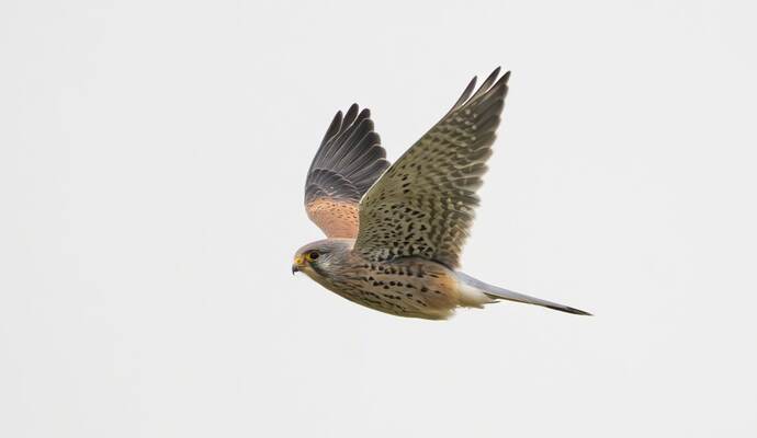 Wetter in Baden-Württemberg