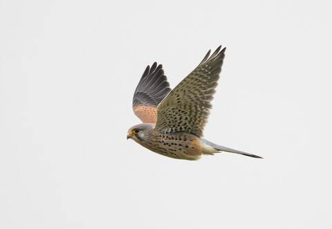Wetter in Baden-Württemberg