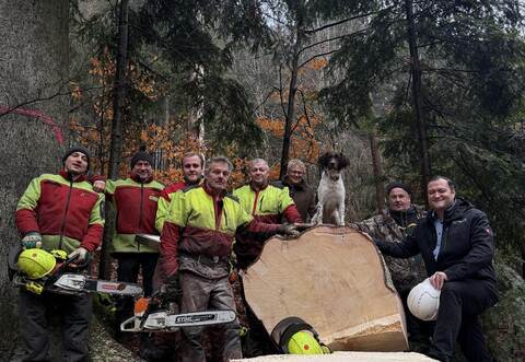 Mit der Waldarbeiter-Mannschaft freuen sich auch Förster Andreas Wacker und Bürgermeister Marco Gauger (rechts) sowie der Kleine Münsterländer Theo über dieenormen Einnahmen, die durch hohe Holzpreise erzielt werden konnten.