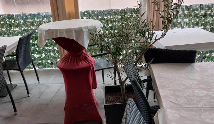 Eines der Mädchen besprühte die Olivenbäume mit einem unbekannten Mittel.