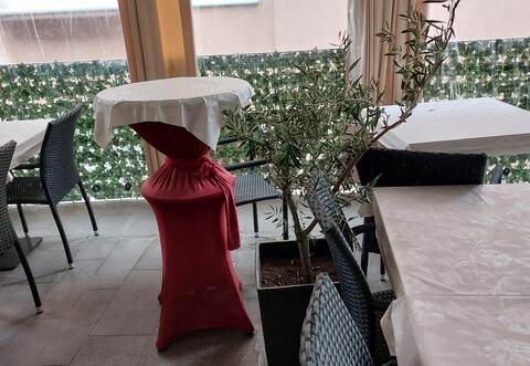 Eines der Mädchen besprühte die Olivenbäume mit einem unbekannten Mittel.