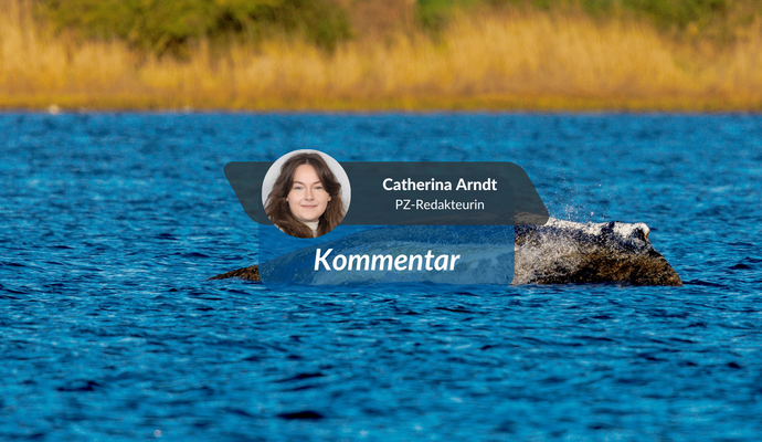 Ein gestrandeter Buckelwal in der Ostsee – das ist eine traurige Seltenheit. PZ-Redakteurin Catherina Arndt hat dazu einen Kommentar verfasst.