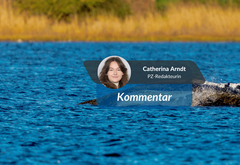 Ein gestrandeter Buckelwal in der Ostsee – das ist eine traurige Seltenheit. PZ-Redakteurin Catherina Arndt hat dazu einen Kommentar verfasst.