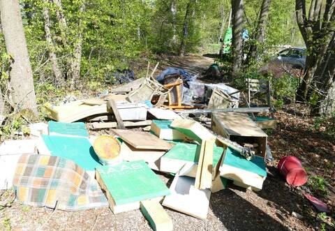 Müll im Wald entsorgt