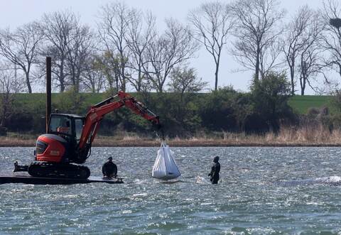 Ministerium duldet möglichen Transport des Buckelwals